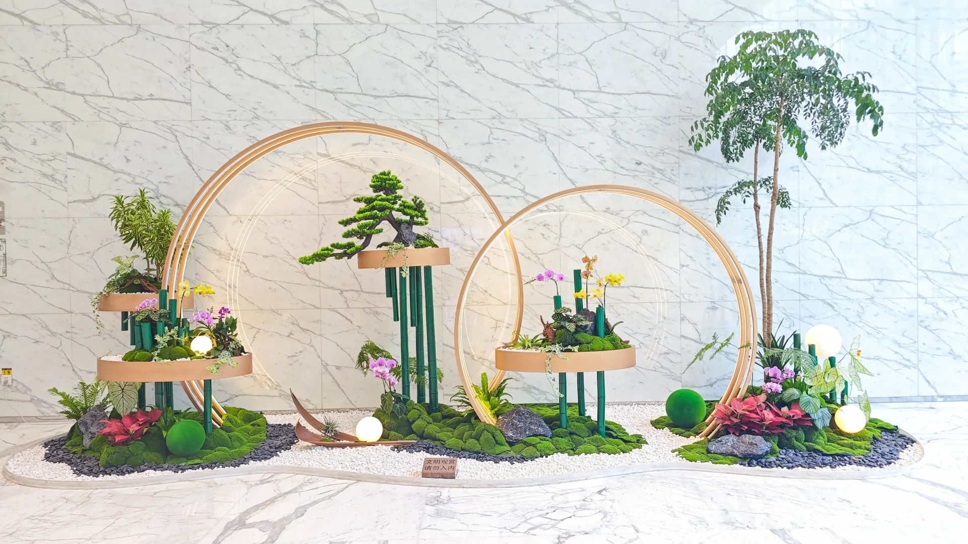 体验余姚绿植租摆，给生活注入盎然绿意！